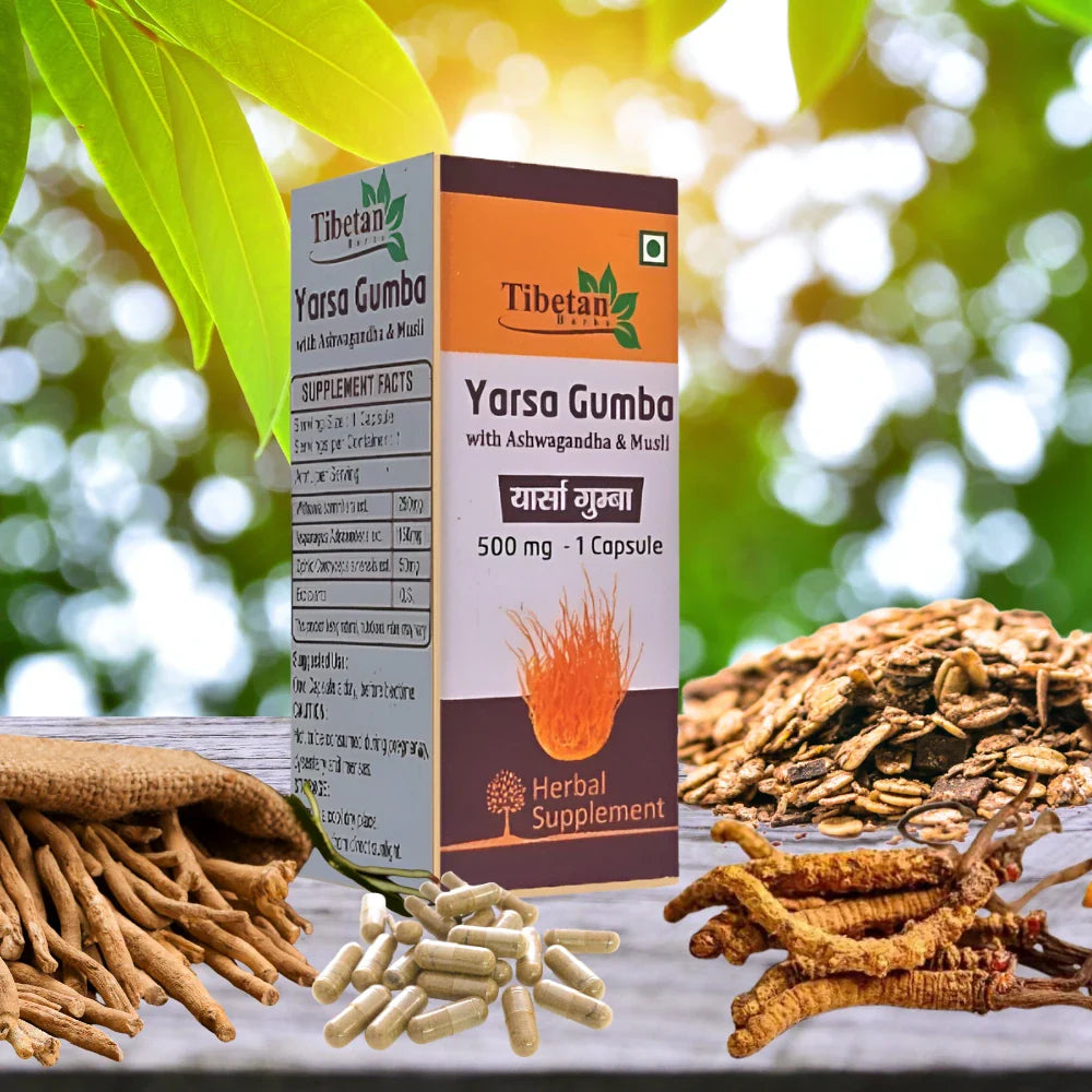 Natural Herbal Immunity Booster – Yarsa Gumba Capsules with Ashwagandha and Musli by Tibetan Herbs | 500mg Ayurvedic Supplement for Strength and Vitality
