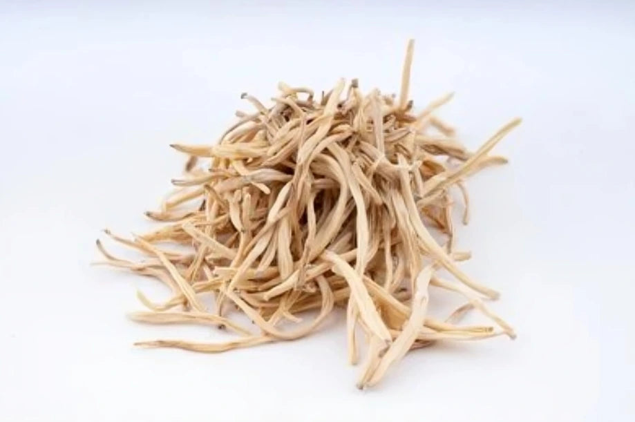 Fresh Ashwagandha roots and green leaves — traditional adaptogenic herb used for stress relief and energy boosting.